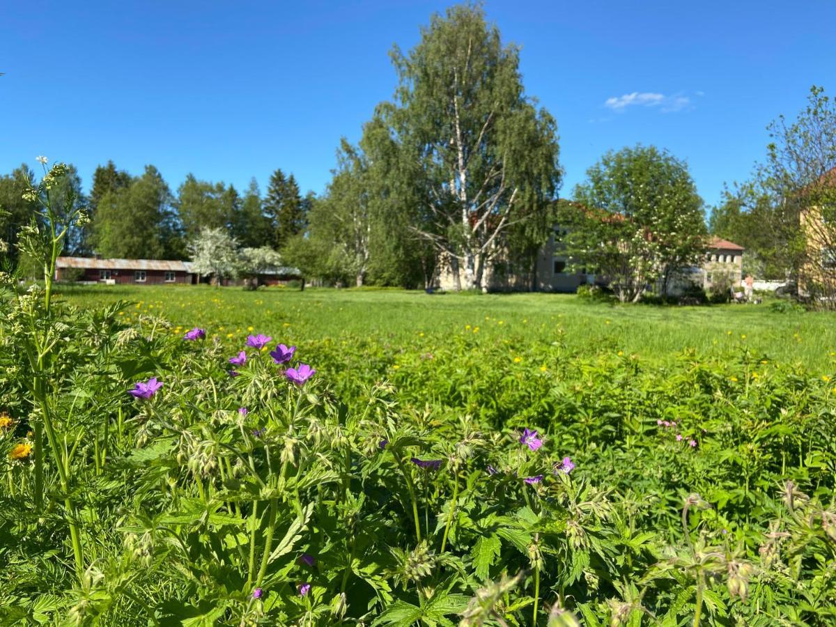 Vojakkala Vandrarhem Haparanda  Esterno foto