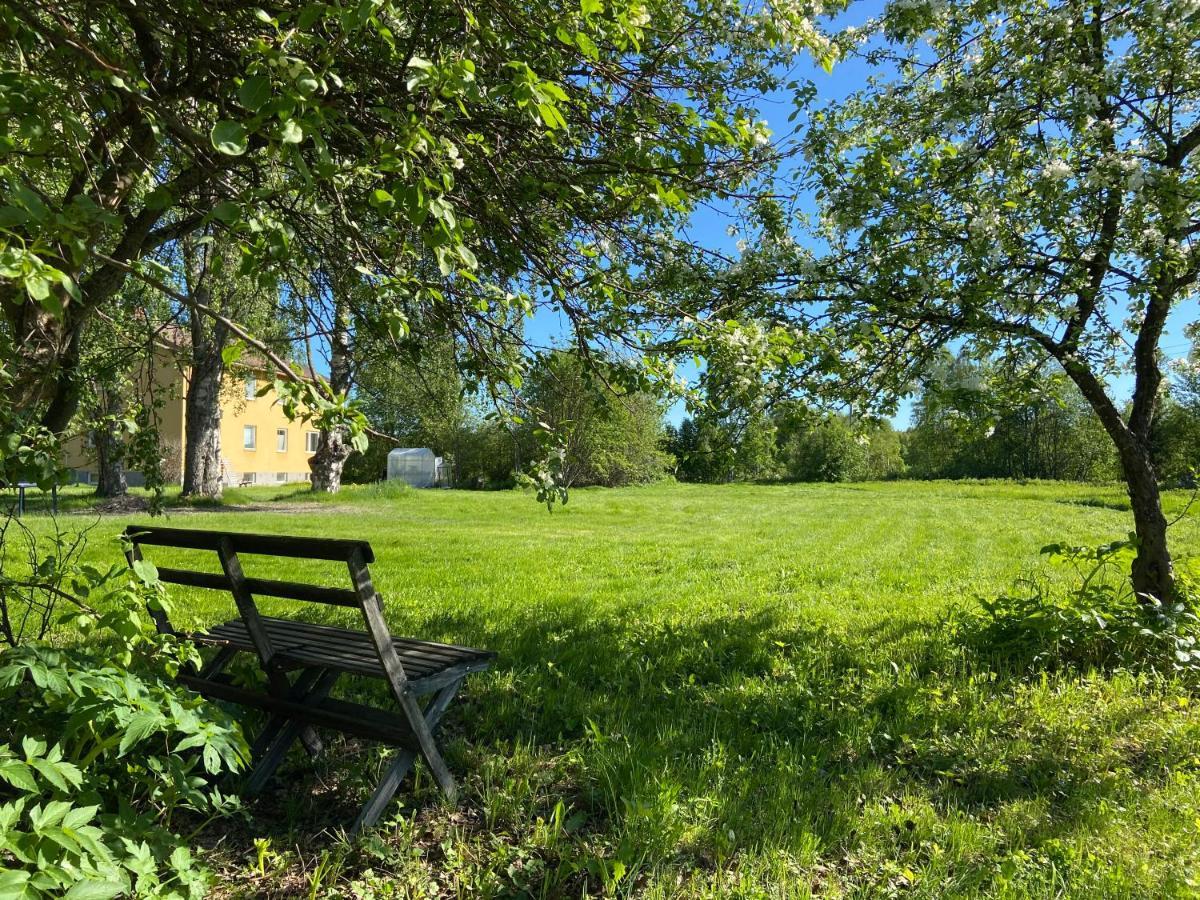 Vojakkala Vandrarhem Haparanda  Esterno foto