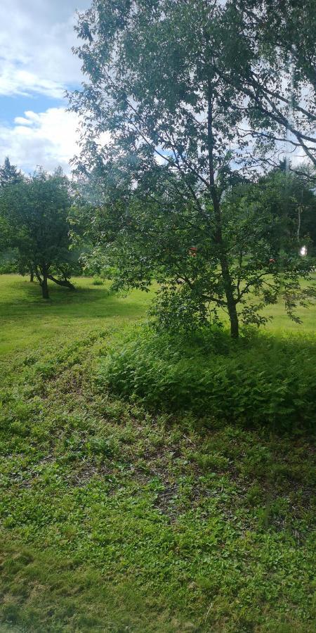 Vojakkala Vandrarhem Haparanda  Esterno foto